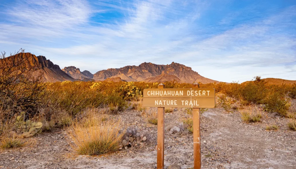 Chihuahuan Desert Nature Center