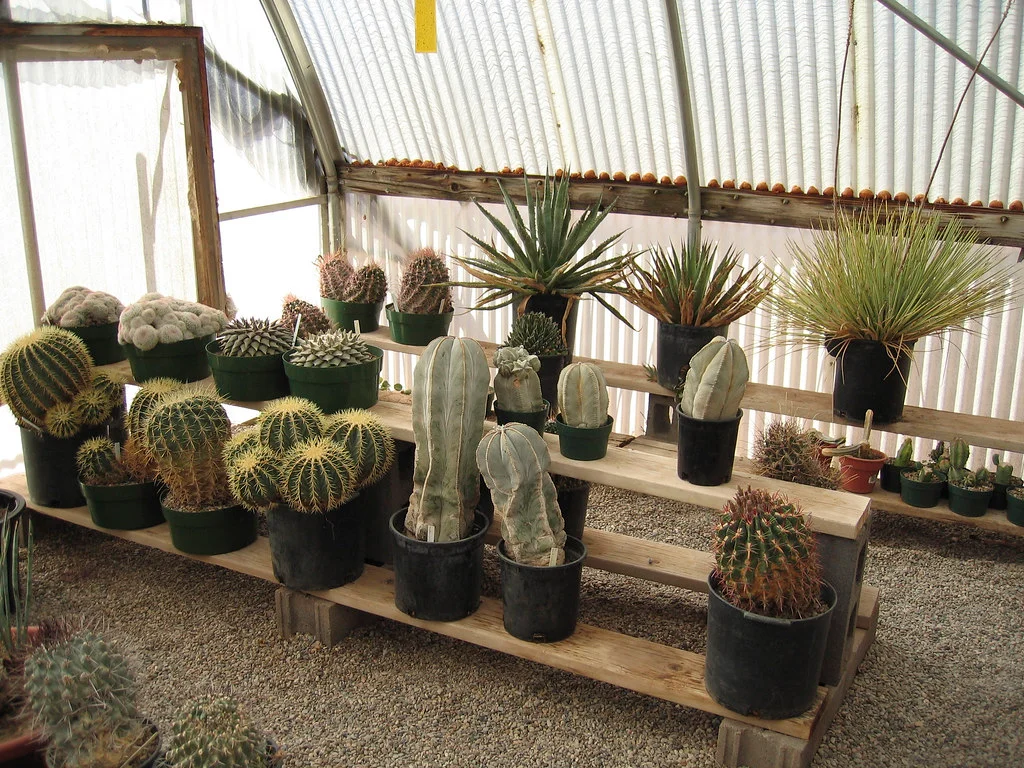 Chihuahuan Desert Research Institute