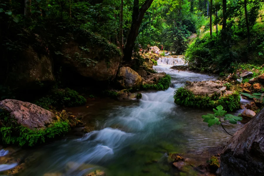 Big Bend River View