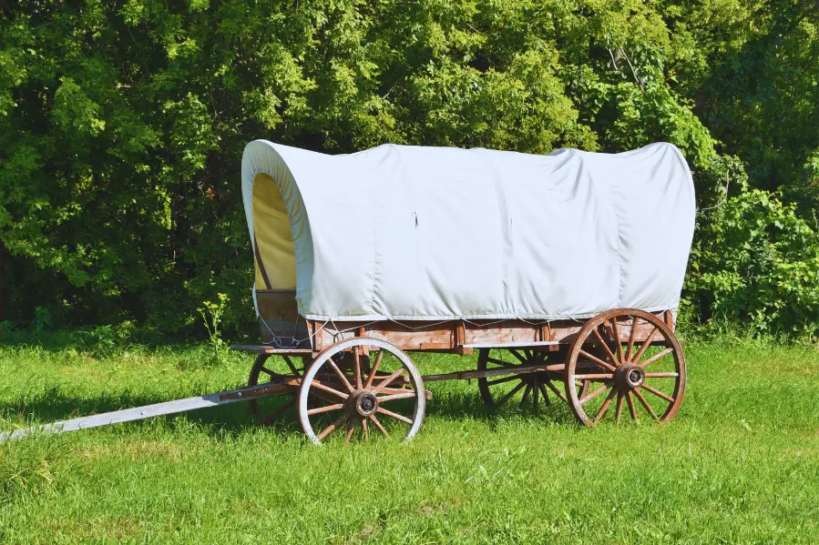 Fort Davis Wagon