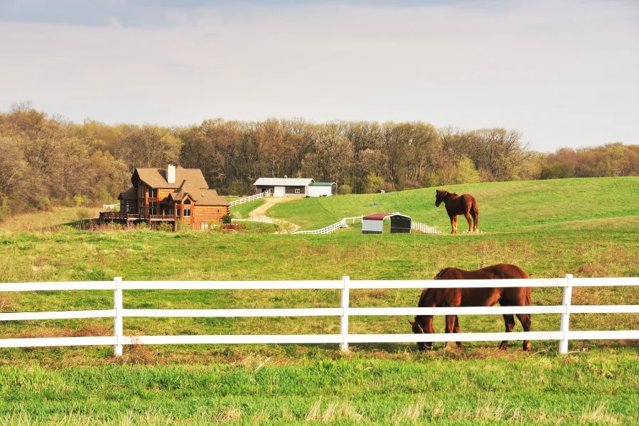 Horses Grazing Ranch