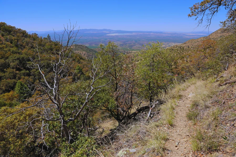 Madera Canyon Hiking Trail