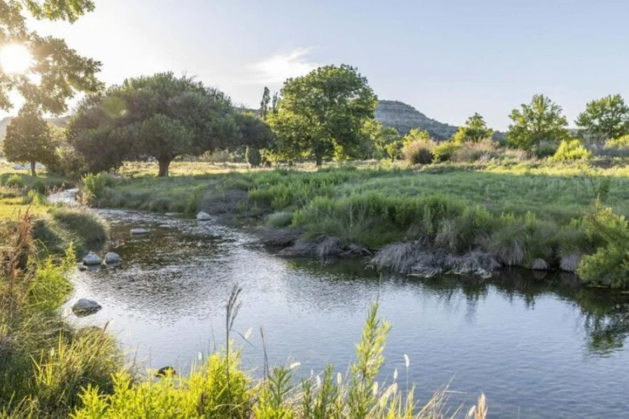 The Nature Conservancy texas