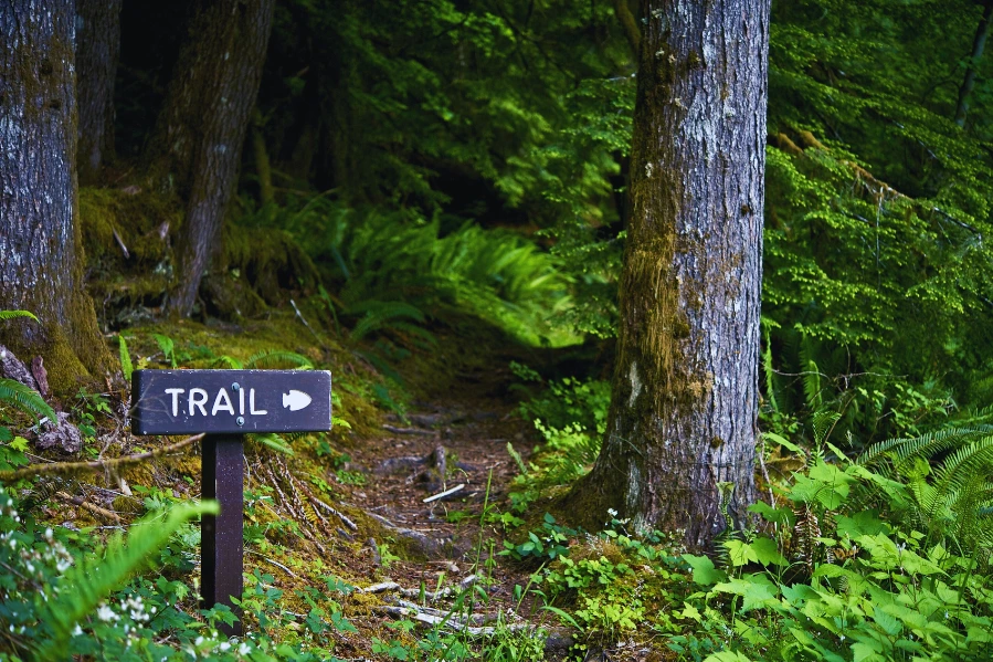 indian lodge loop trail pathway