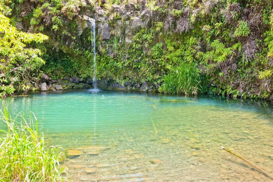 spring fed pool